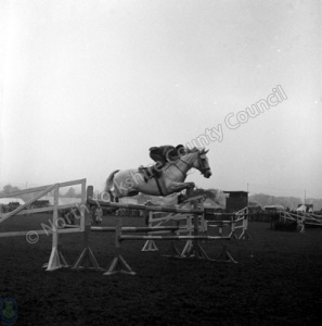 Show Jumping, Ferrensby